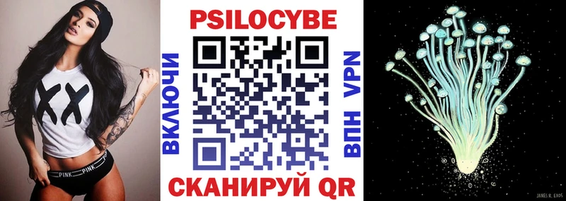 Псилоцибиновые грибы Psilocybe  Купить закладки  Черепаново 